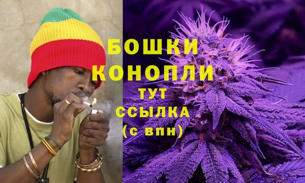 PSILOCYBIN Медногорск