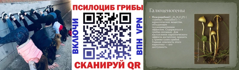 Псилоцибиновые грибы Psilocybine cubensis Тотьма