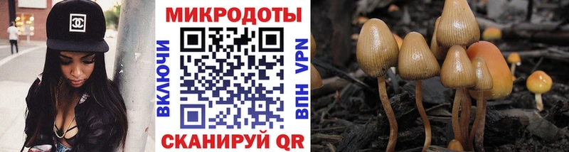 купить наркотик  Тотьма  Псилоцибиновые грибы прущие грибы 